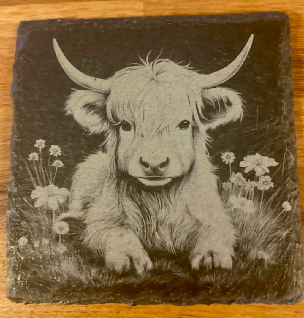 Highland Cow Engraved Slate Coasters | Rustic Farmhouse Drinkware