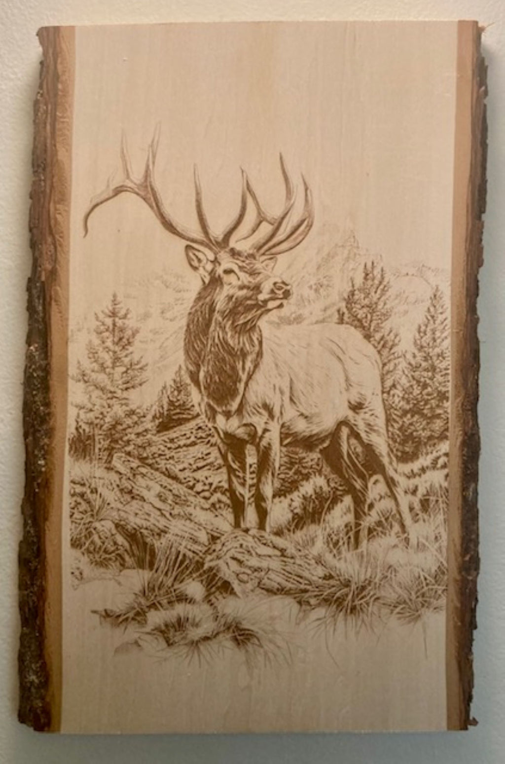 Bull Elk Engraved Wood Plank | Rustic Wildlife Wall Art