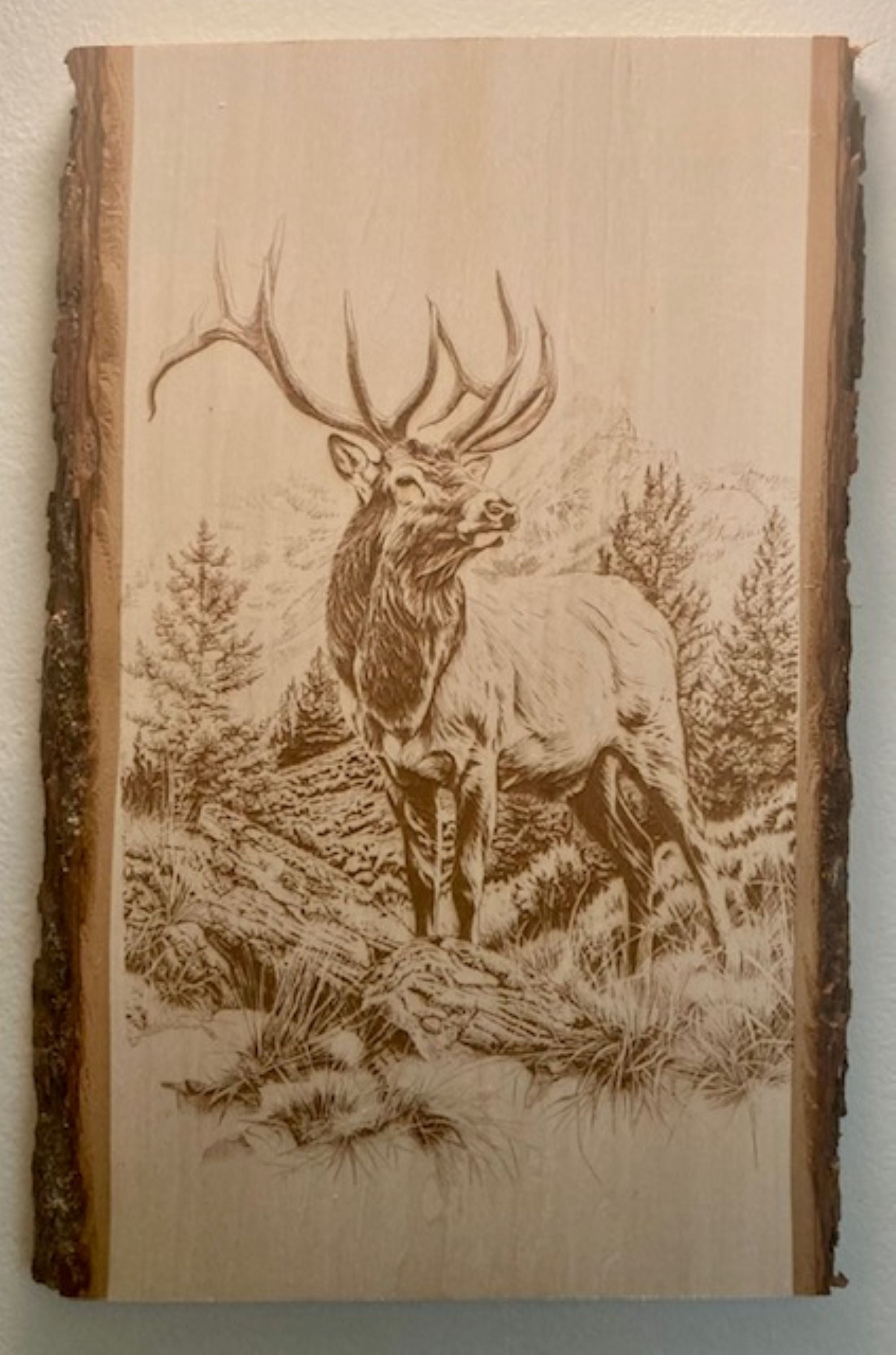 Bull Elk Engraved Wood Plank | Rustic Wildlife Wall Art