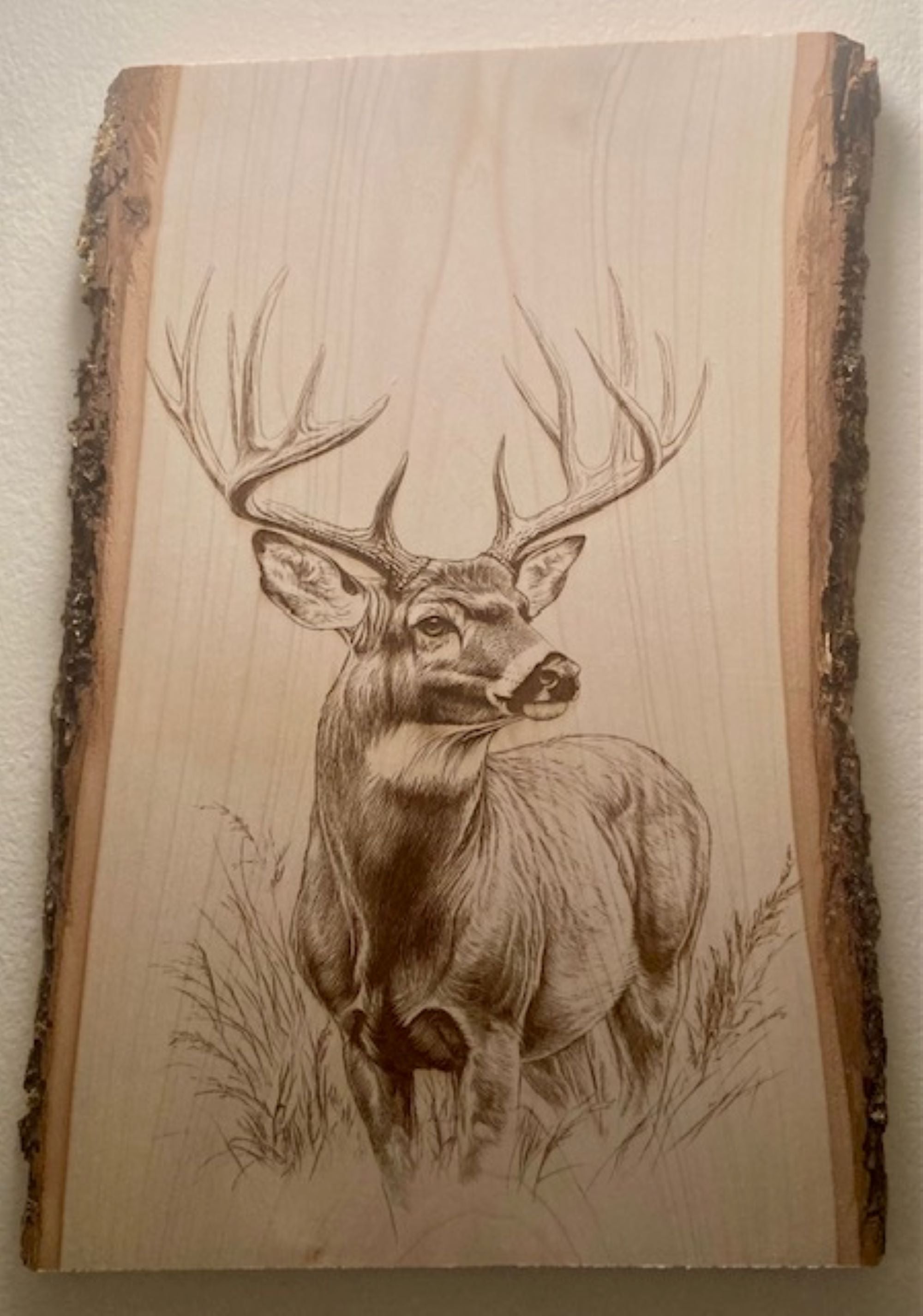 Deer Buck Engraved Wood Plank | Colorado Wildlife Wall Art
