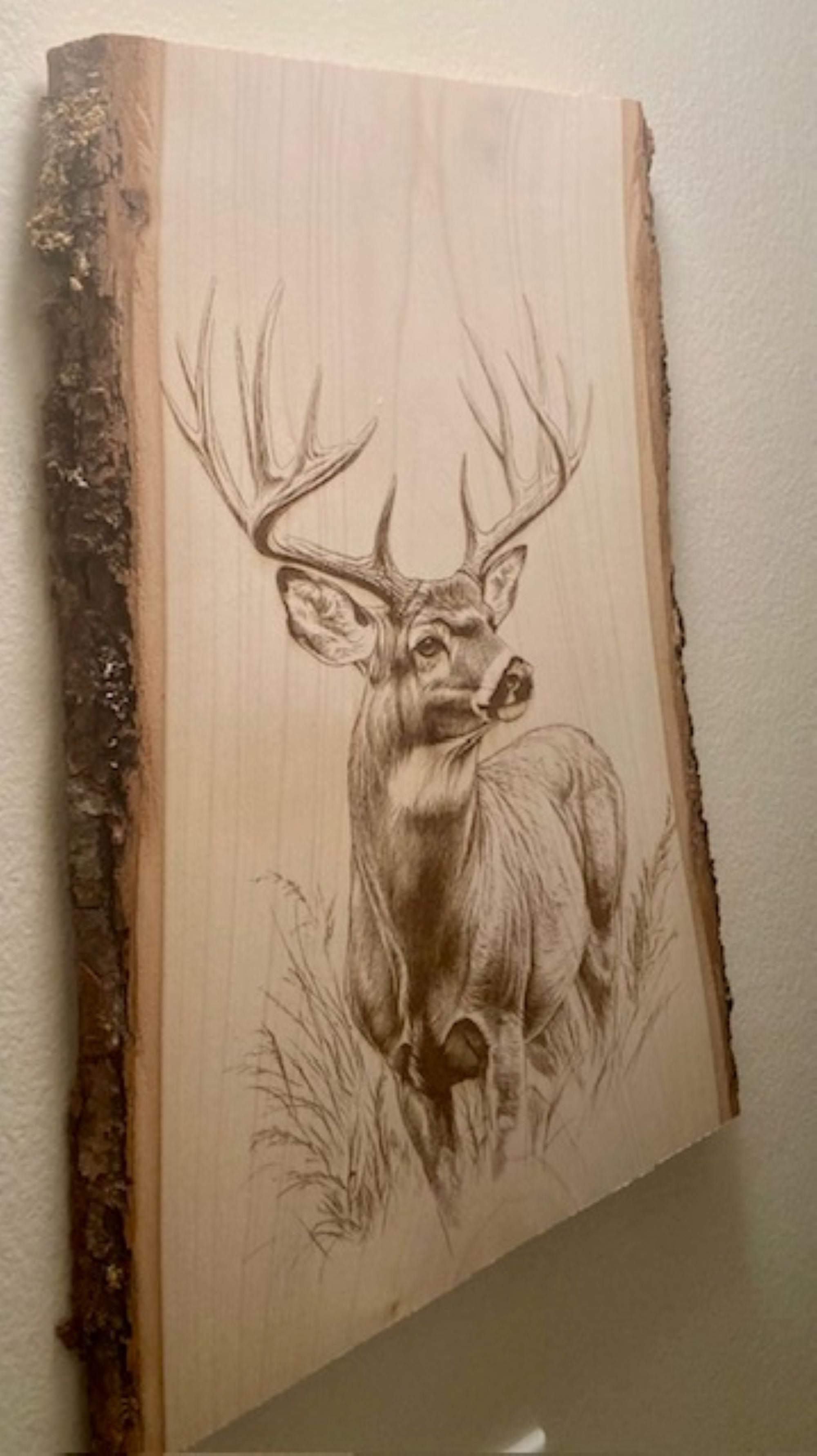 Deer Buck Engraved Wood Plank | Colorado Wildlife Wall Art