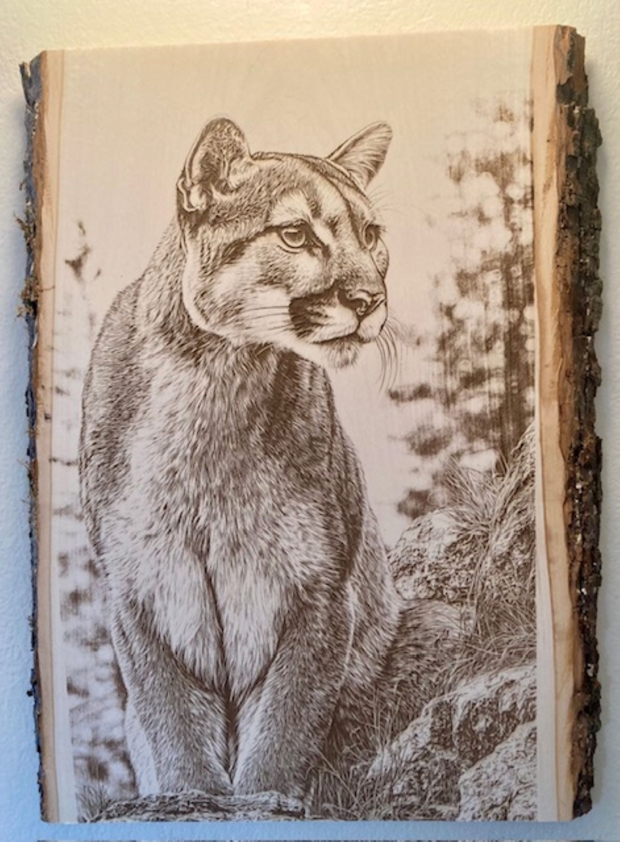 Mountain Lion Engraved Wood Plank | Rustic Wildlife Wall Art